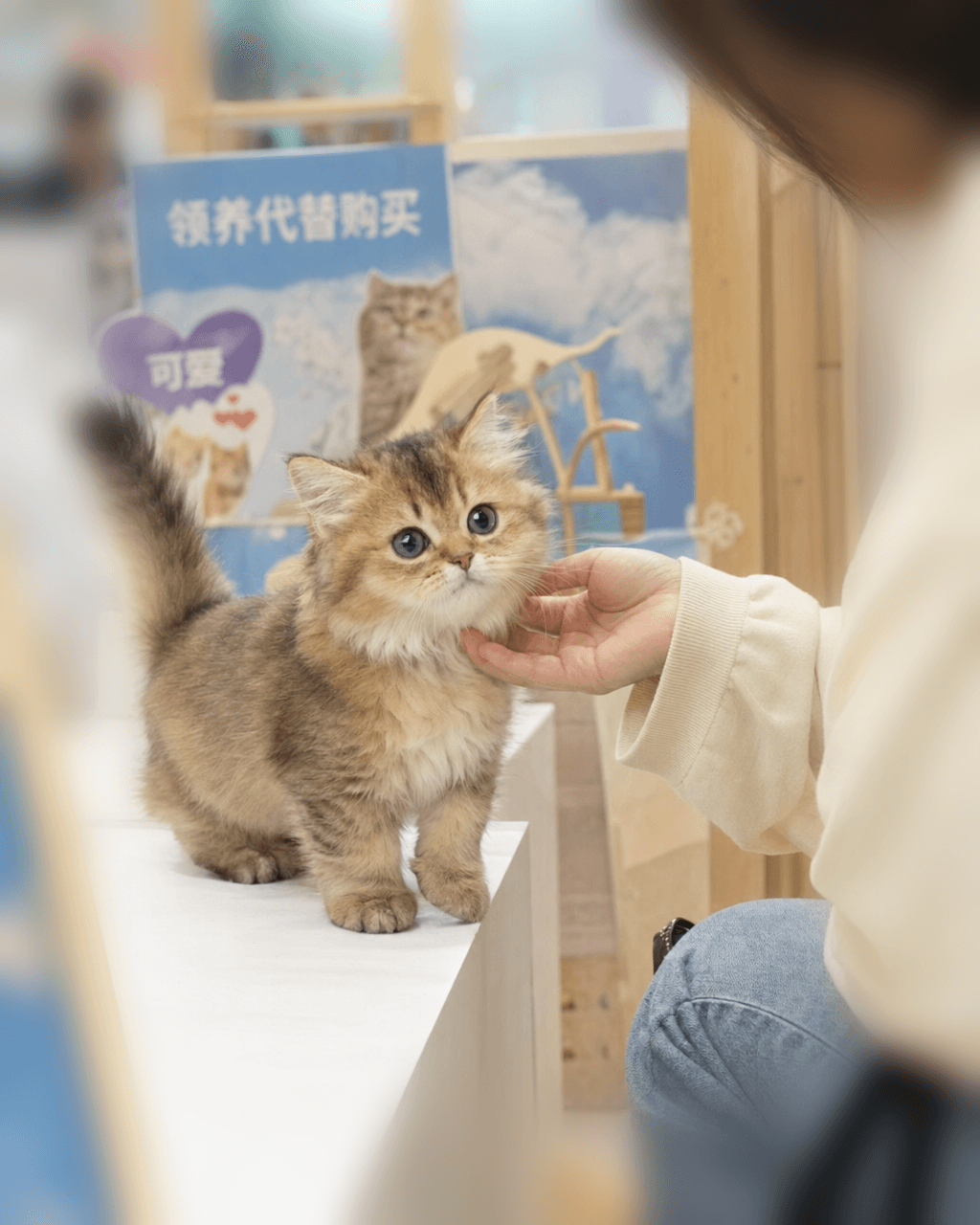 小蓝 主视觉 1