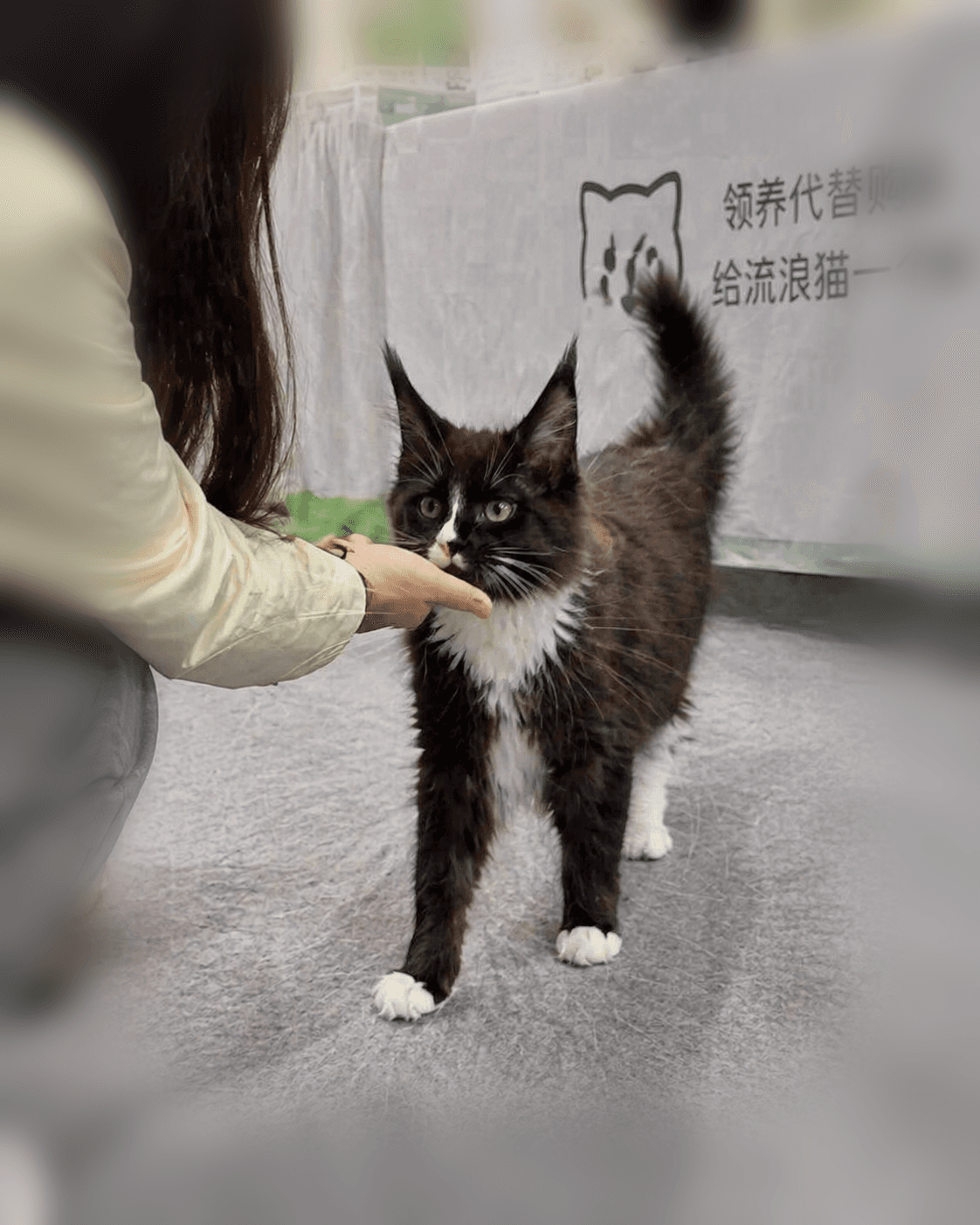 妮娜 主视觉 1